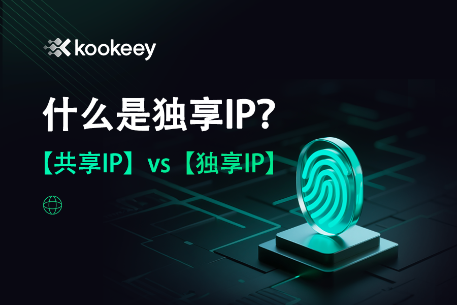 什么是独享IP？独享IP好还是共享IP好？