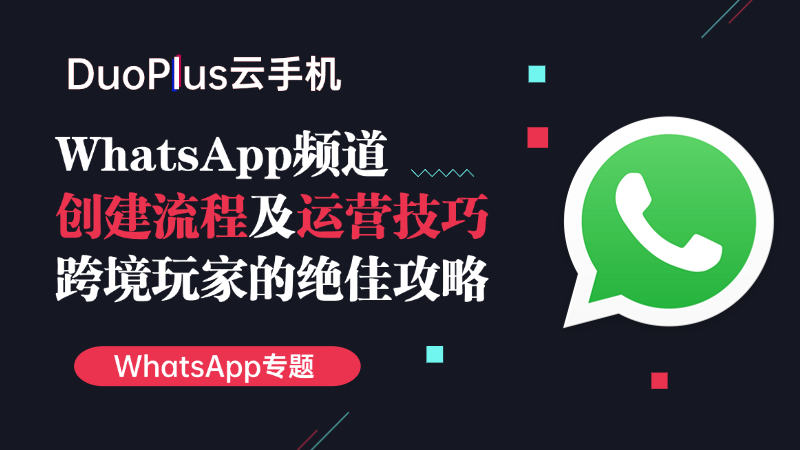 用WhatsApp做私域保姆级教程：爆粉运营技巧